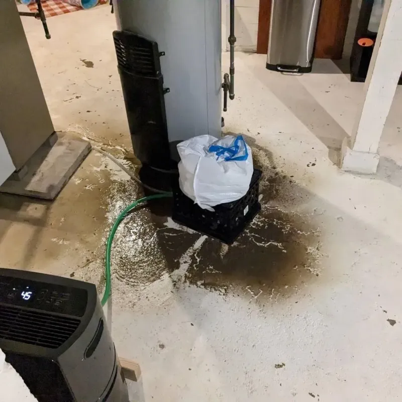 Sewage Backup Cleanup Service in Shackelford, CA